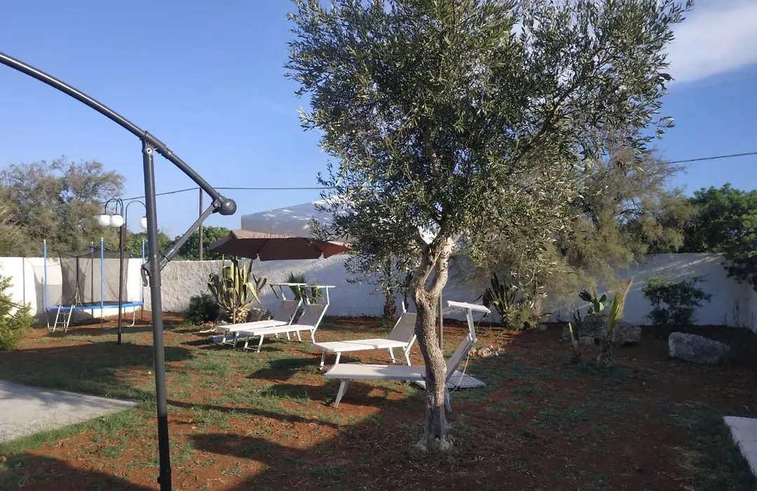 B&B House Ben-1